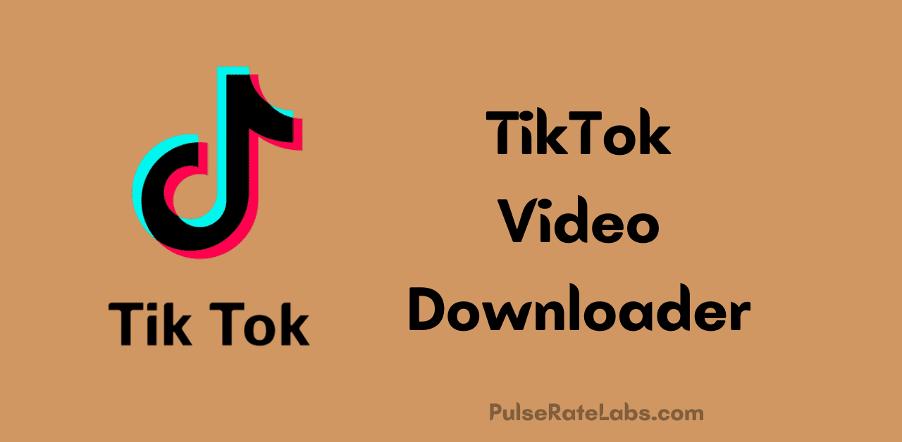 TikTok Downloader