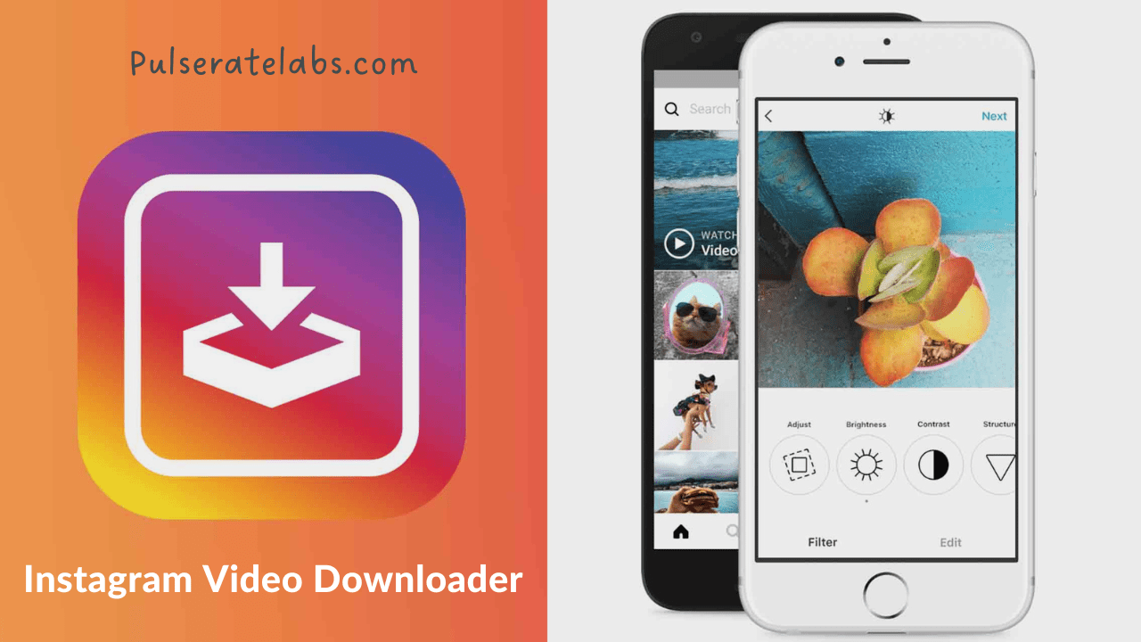 Instagram Video Downloader