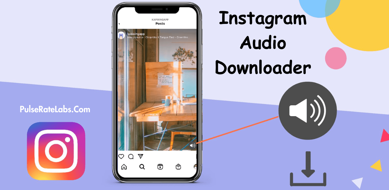 Instagram Audio Downloader